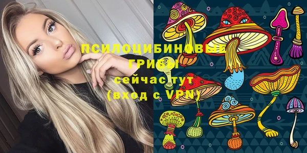 индика Вяземский