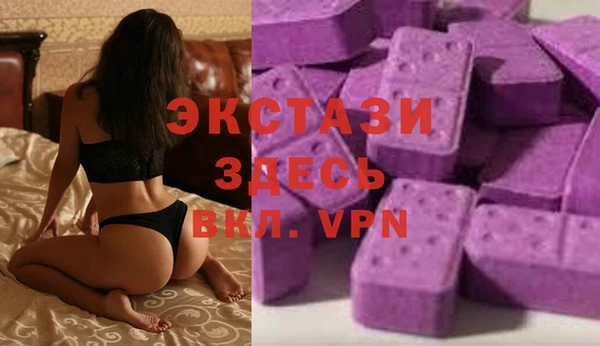 дживик Вязьма