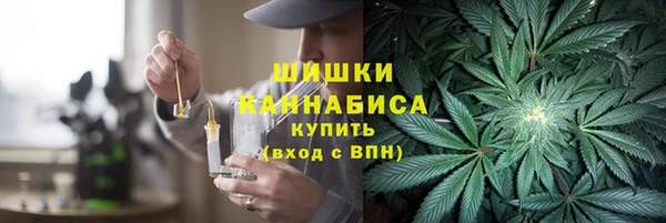индика Вяземский