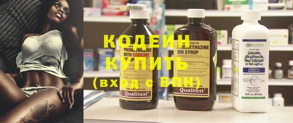 индика Вяземский