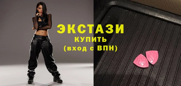 индика Вяземский