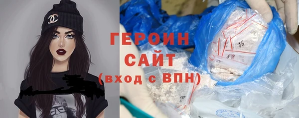 индика Вяземский
