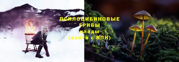 тгк Вязники