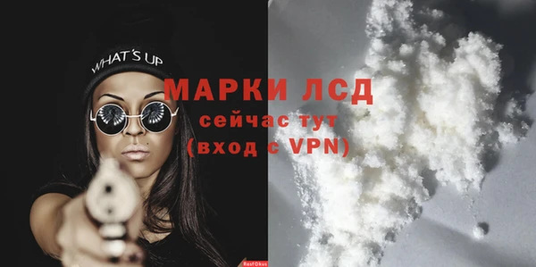 индика Вяземский