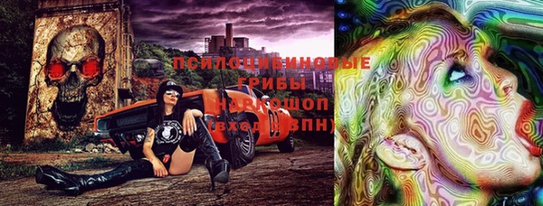 индика Вяземский