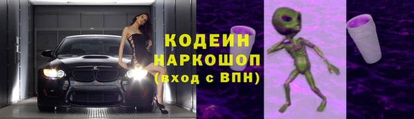 индика Вяземский