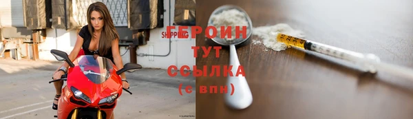 индика Вяземский