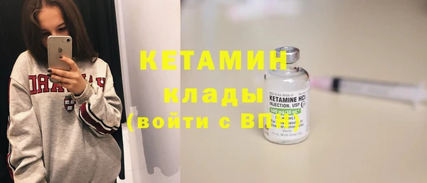 индика Вяземский