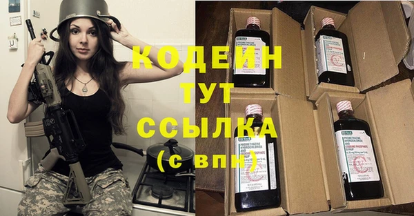 индика Вяземский