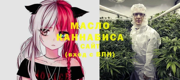 индика Вяземский