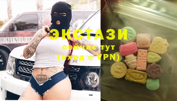 дживик Вязьма