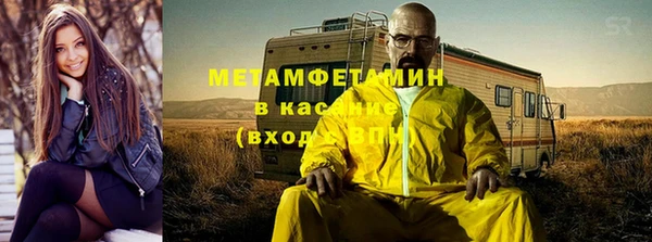 индика Вяземский