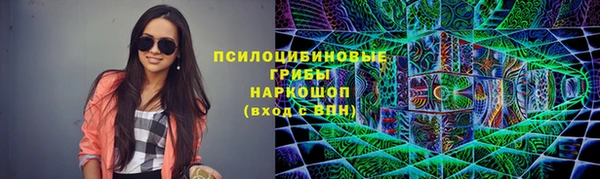 индика Вяземский