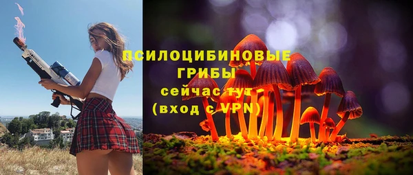 индика Вяземский