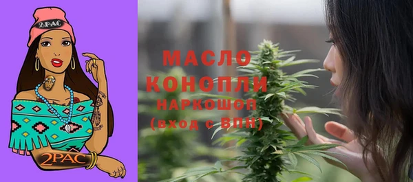 индика Вяземский