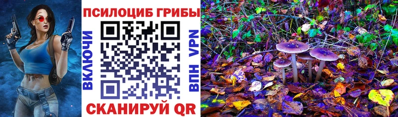 Купить закладки  Бокситогорск  Псилоцибиновые грибы GOLDEN TEACHER 