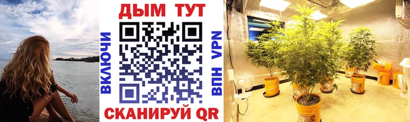 Купить Бокситогорск Бошки марихуана OG Kush
